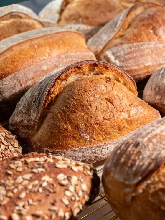 Fresh loaves